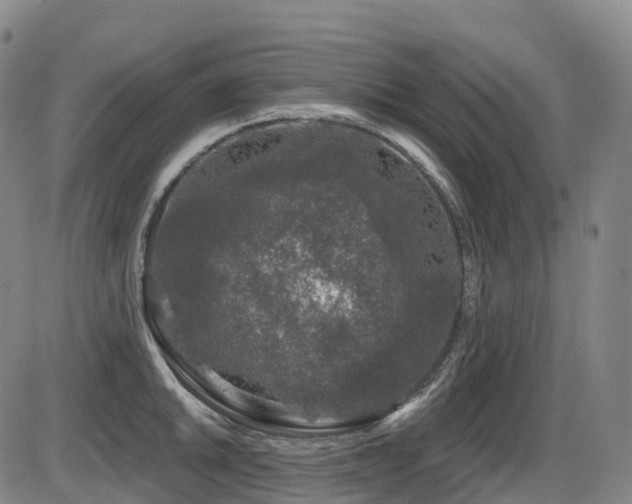X0000086301046200703301157