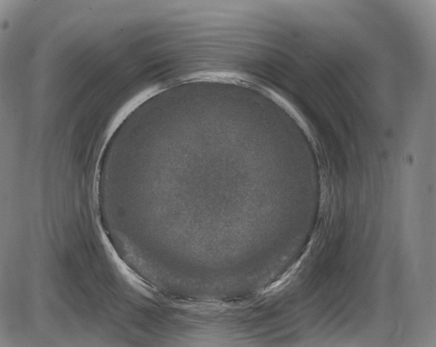X0000086301050200703301157