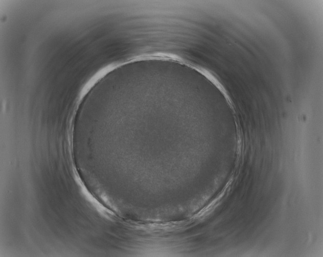 X0000086301054200703301157