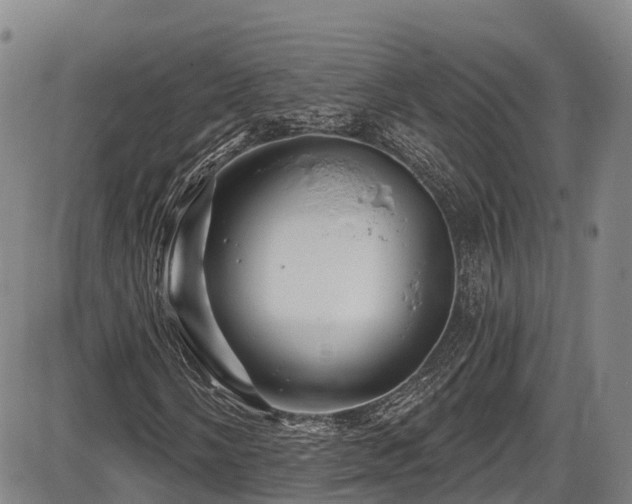 X0000086301058200703301156