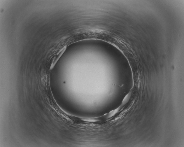 X0000086301061200703301156