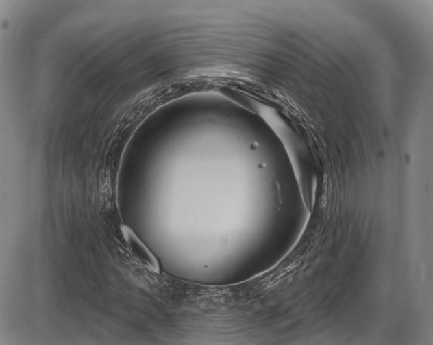 X0000086301062200703301156