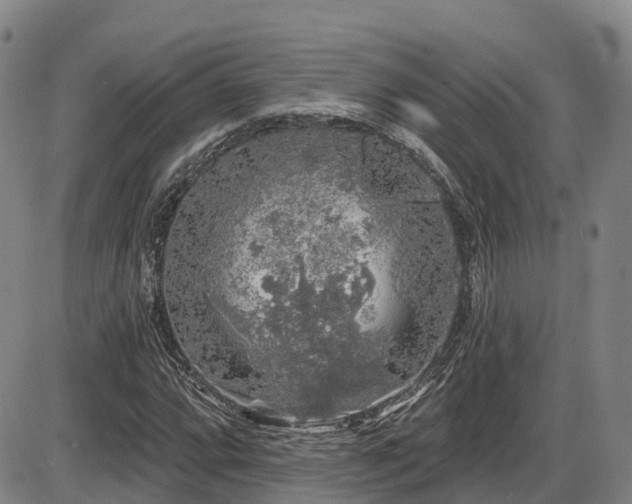 X0000086301064200703301156