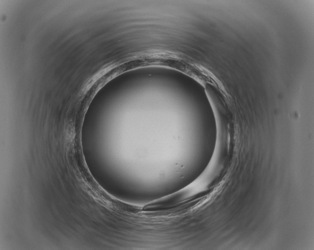 X0000086301065200703301156
