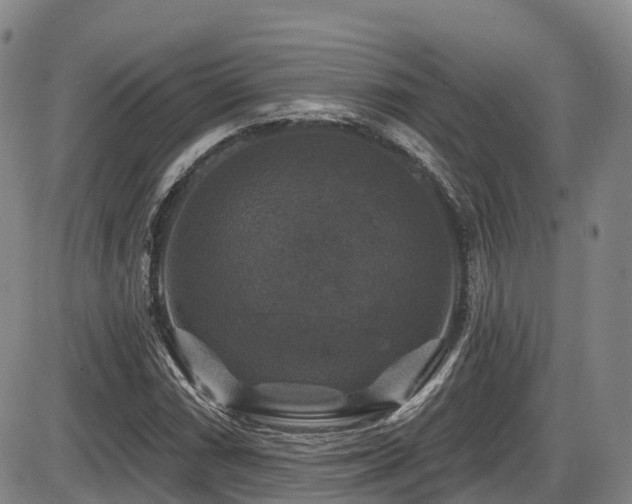 X0000086301066200703301156