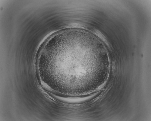 X0000086301068200703301156