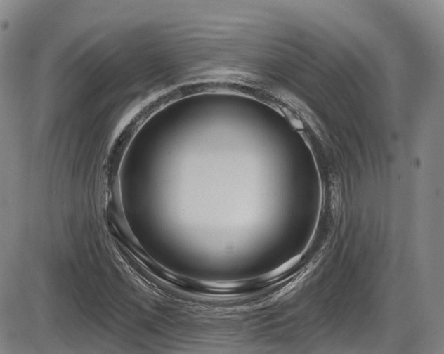 X0000086301069200703301156