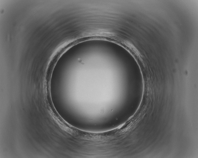 X0000086301072200703301156