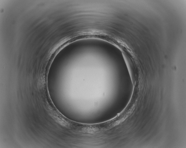 X0000086301073200703301156