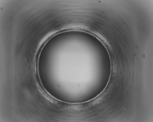 X0000086301078200703301156