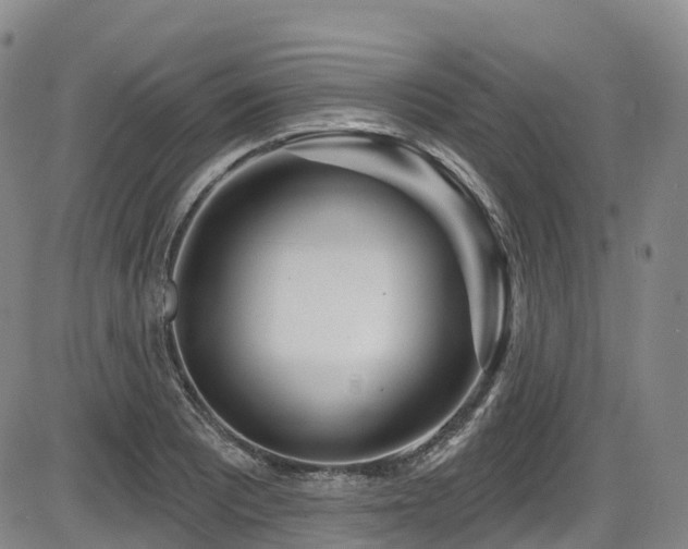 X0000086301081200703301155