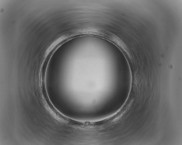 X0000086301082200703301155