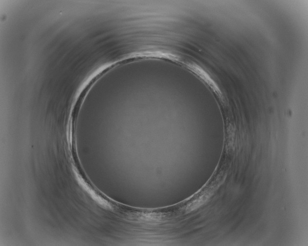 X0000086301084200703301155