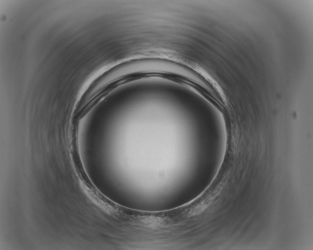 X0000086301085200703301155
