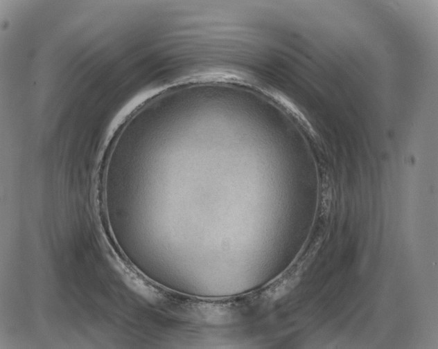 X0000086301086200703301155