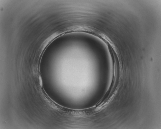 X0000086301089200703301155