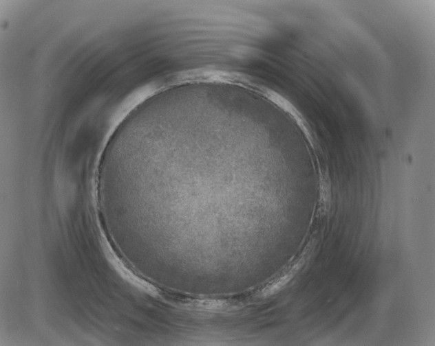 X0000086301090200703301155
