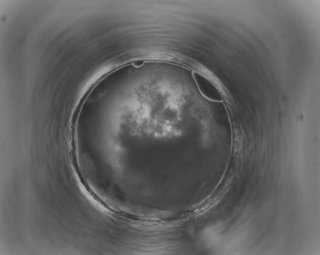 X0000086301095200703301155
