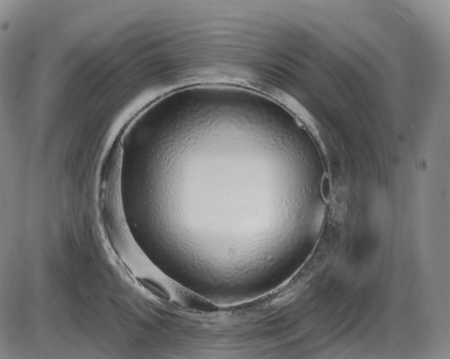 X0000086301096200703301155