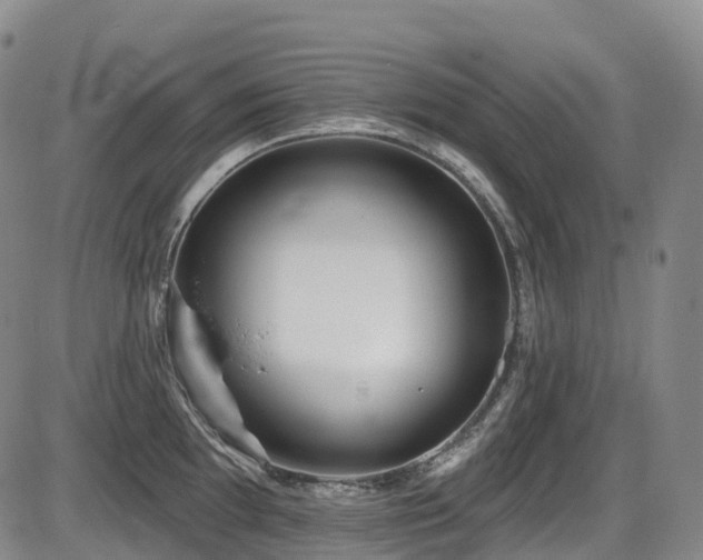 X0000086301097200703301155