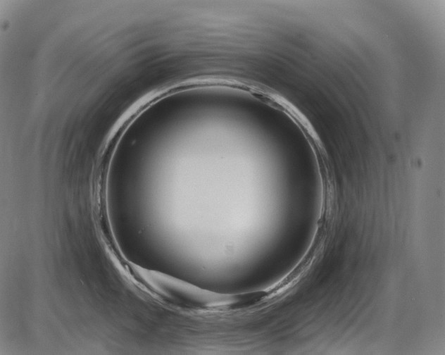 X0000086301101200703301155