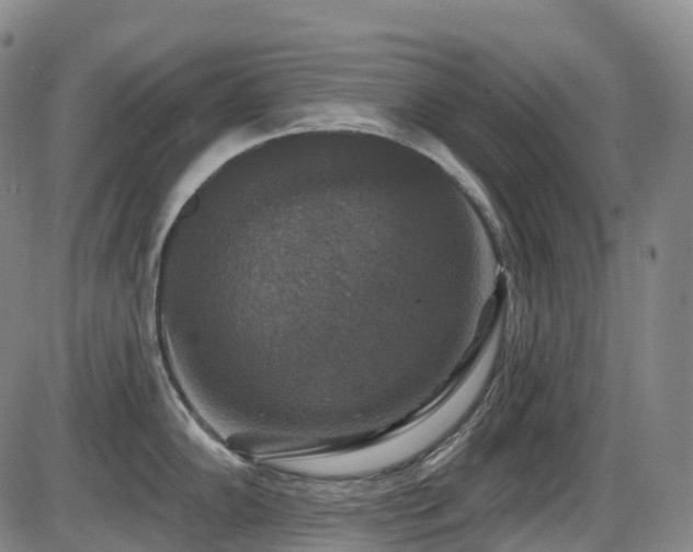 X0000086301102200703301155