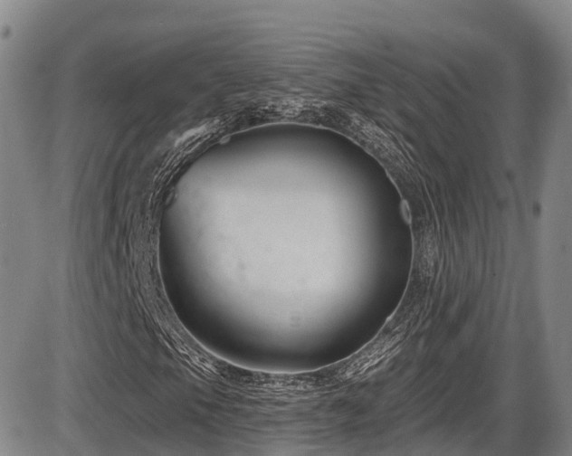 X0000086301105200703301154