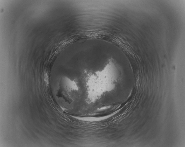 X0000086301106200703301154