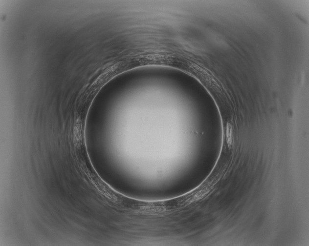 X0000086301107200703301154