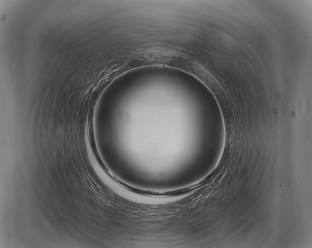 X0000086301108200703301154