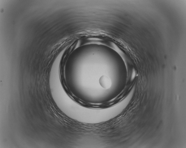 X0000086301110200703301154