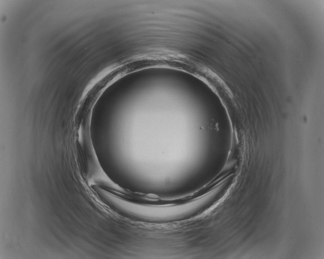 X0000086301114200703301154