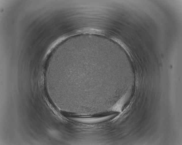 X0000086301115200703301154
