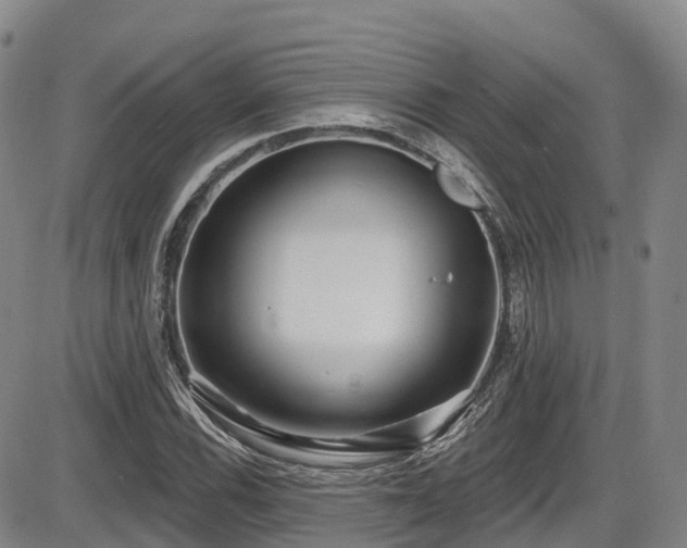 X0000086301116200703301154
