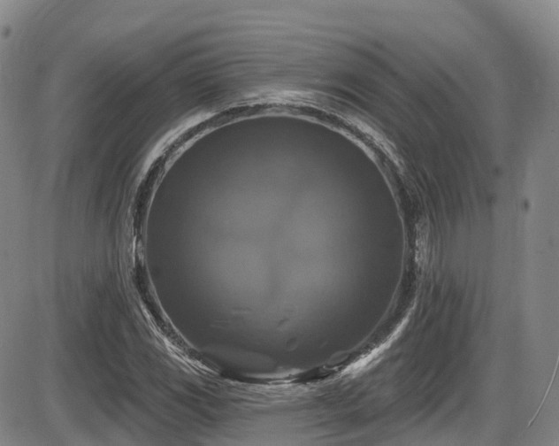 X0000086301117200703301154