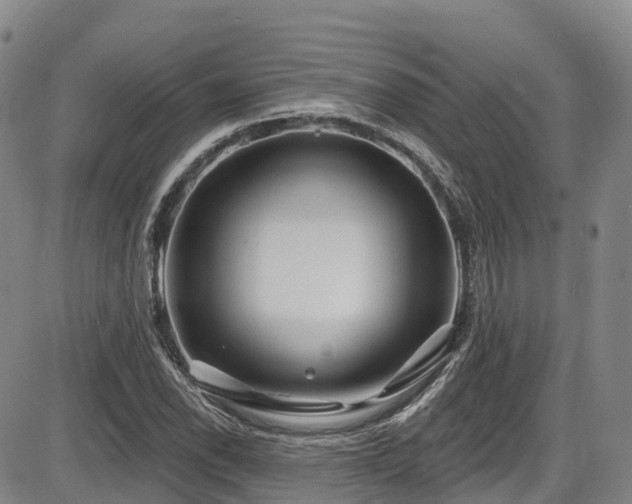 X0000086301118200703301155