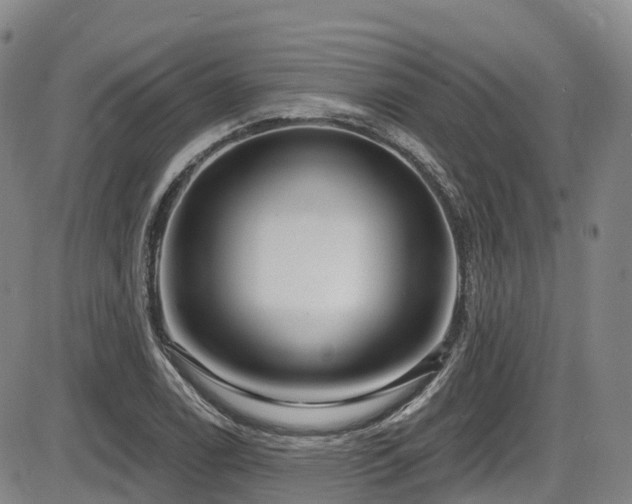 X0000086301122200703301155