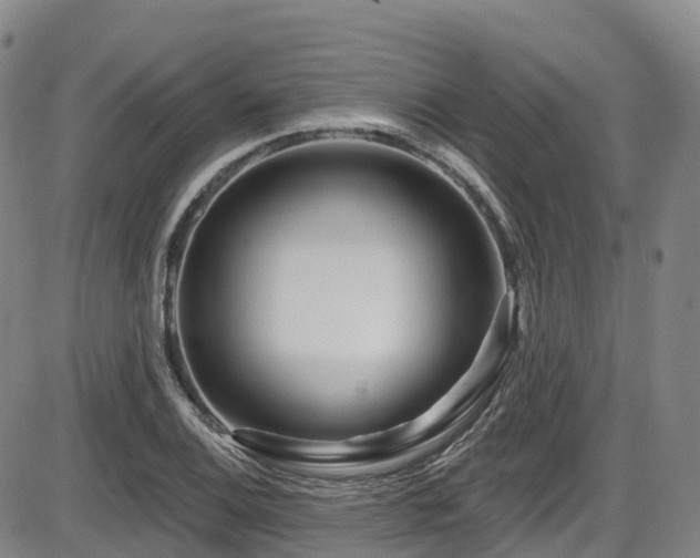 X0000086301124200703301155