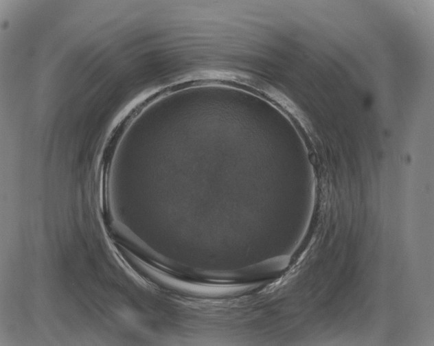 X0000086301127200703301155