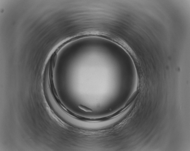 X0000086301132200703301155