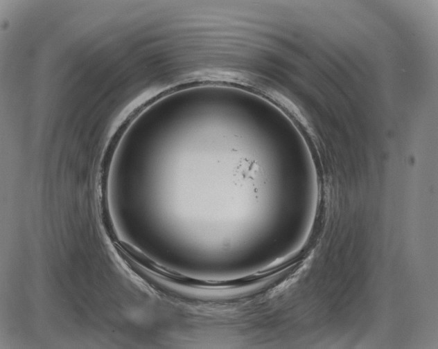 X0000086301133200703301155