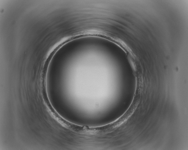 X0000086301134200703301155