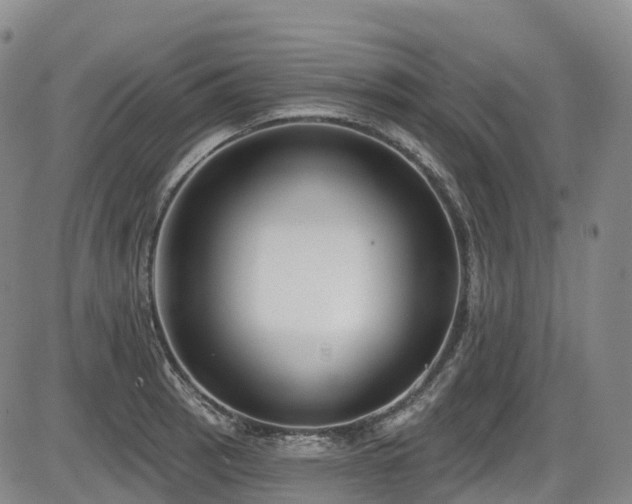 X0000086301137200703301155
