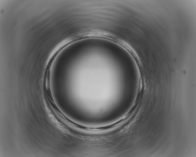 X0000086301138200703301155