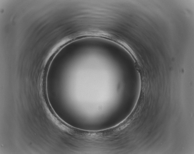 X0000086301139200703301155