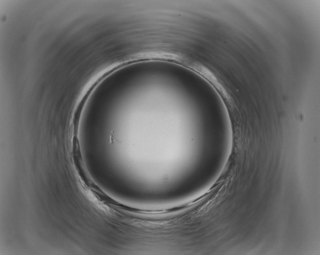 X0000086301140200703301155