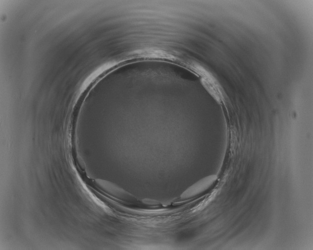 X0000086301141200703301155