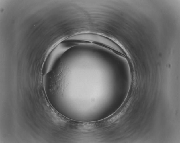 X0000086301145200703301155