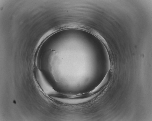 X0000086301146200703301155
