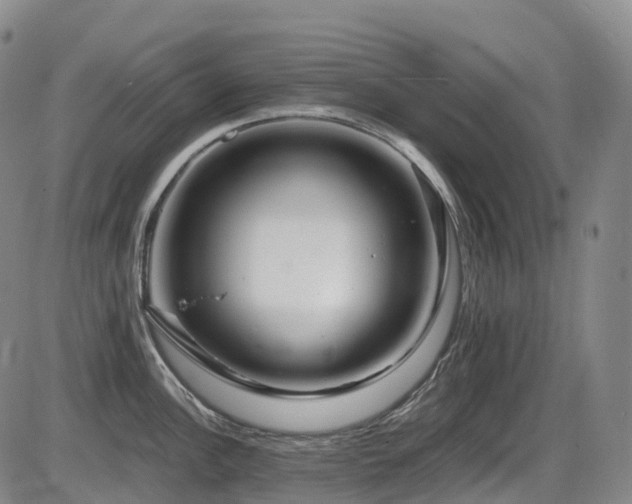 X0000086301148200703301155